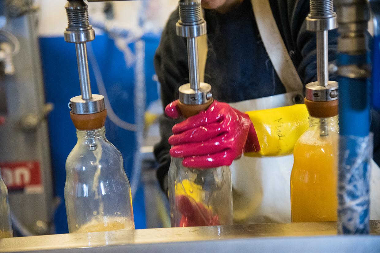 So bekommt die Sache schon richtig Professionalität. Abfüllen von Apfelsaft in der Lohnmosterei in Ganzlin.