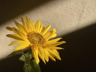 Lehmputze sind mitunter unauffällig, aber in jedem Fall vielfältig und einen Bildungsurlaub wert!