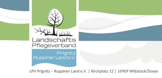 Hanf ist der Baustoff der Zukunft