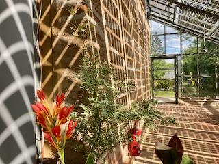 Im Wangeliner Garten lässt sich schon heute die dringend notwendige Bauwende bestaunen.