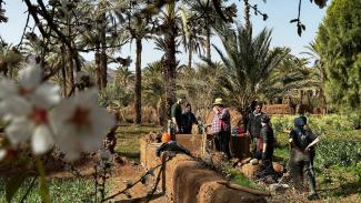 Bau einer Stampflehmwand im Garten der ältesten Wohnburg des Draa-Tals